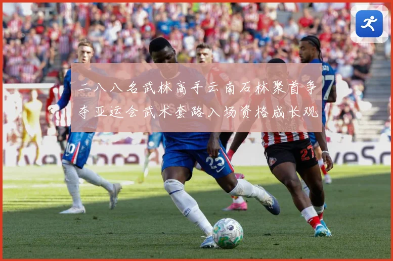 二八八名武林高手云南石林聚首争夺亚运会武术套路入场资格成长观察