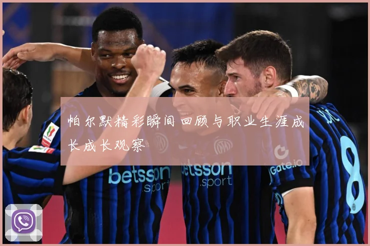 帕尔默精彩瞬间回顾与职业生涯成长成长观察