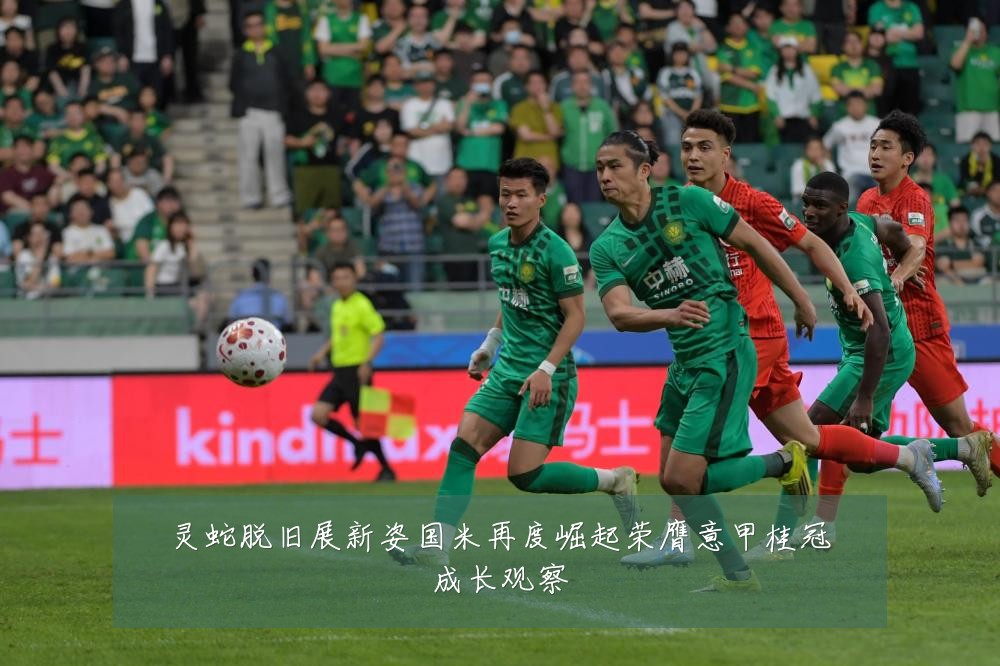 灵蛇脱旧展新姿国米再度崛起荣膺意甲桂冠成长观察