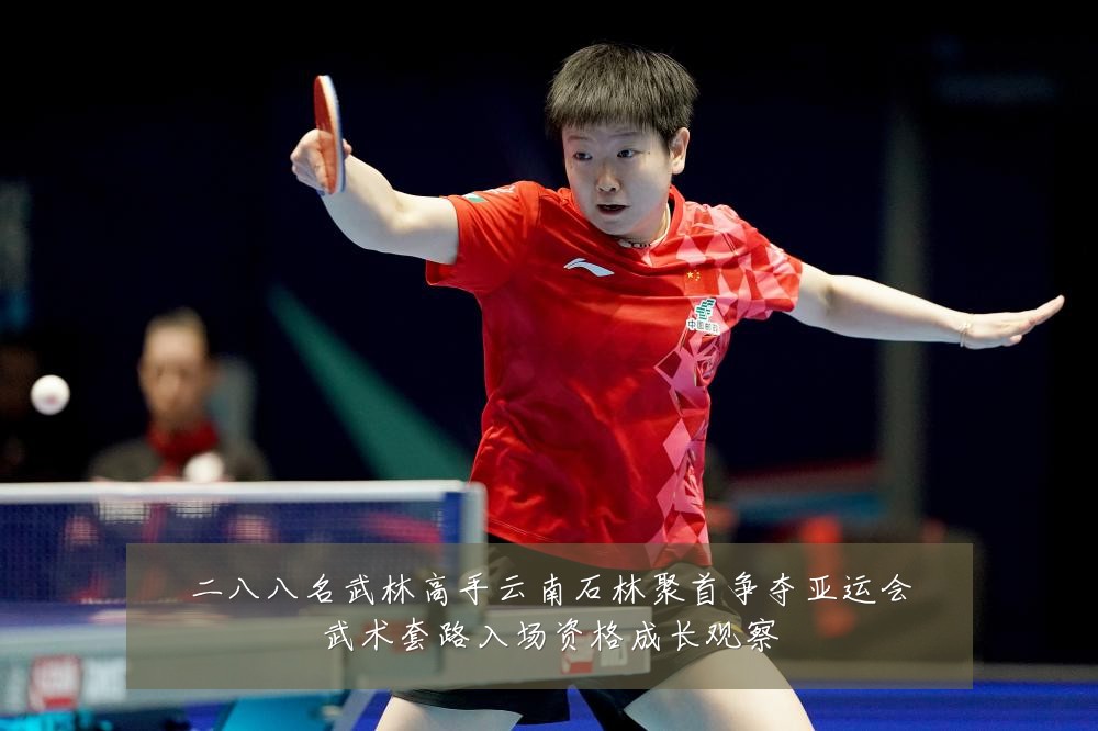 二八八名武林高手云南石林聚首争夺亚运会武术套路入场资格成长观察