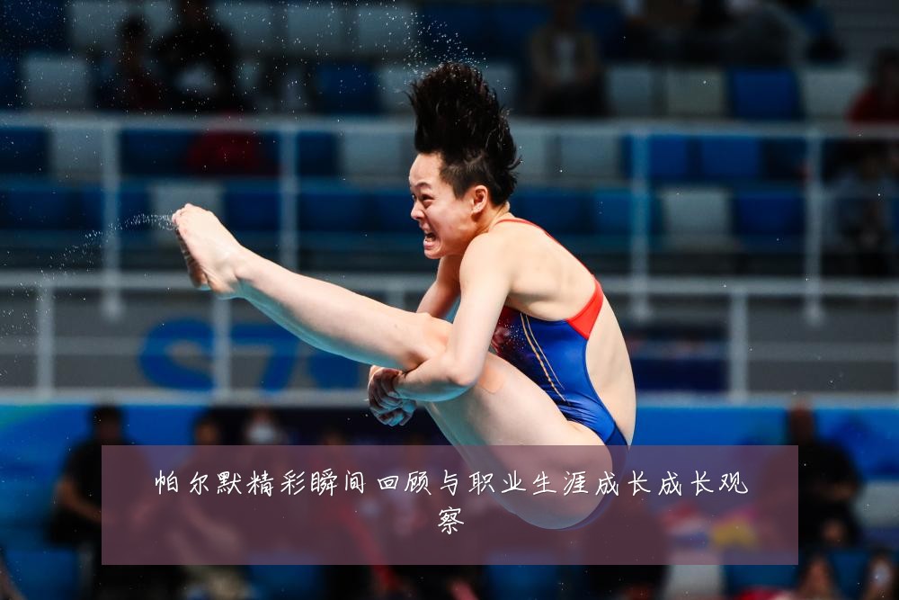 帕尔默精彩瞬间回顾与职业生涯成长成长观察