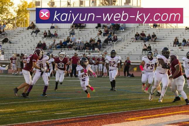 开云APP 高清赛事图